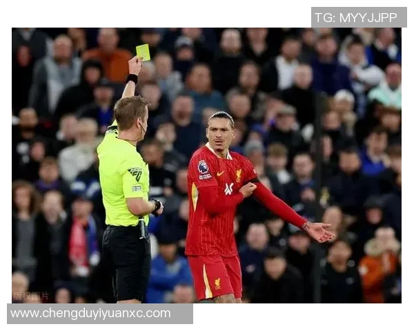 努涅斯在赛场上的精彩表现引发球迷热议与期待的未来发展分析