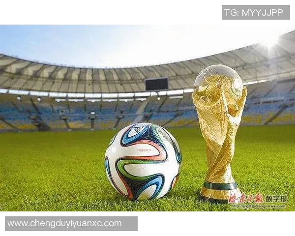 巴西与澳大利亚激战正酣双方拼尽全力争夺胜利