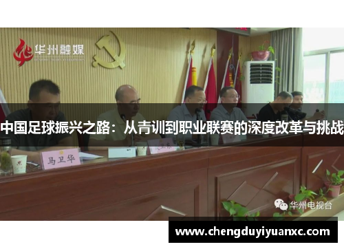 中国足球振兴之路：从青训到职业联赛的深度改革与挑战