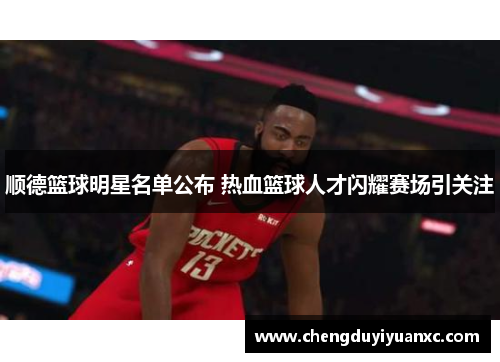 顺德篮球明星名单公布 热血篮球人才闪耀赛场引关注