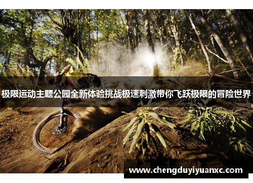 极限运动主题公园全新体验挑战极速刺激带你飞跃极限的冒险世界