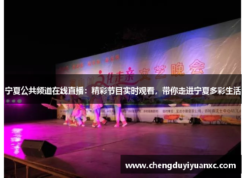 宁夏公共频道在线直播：精彩节目实时观看，带你走进宁夏多彩生活