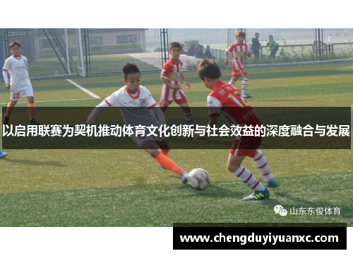 以启用联赛为契机推动体育文化创新与社会效益的深度融合与发展