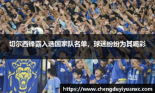 切尔西锋霸入选国家队名单，球迷纷纷为其喝彩